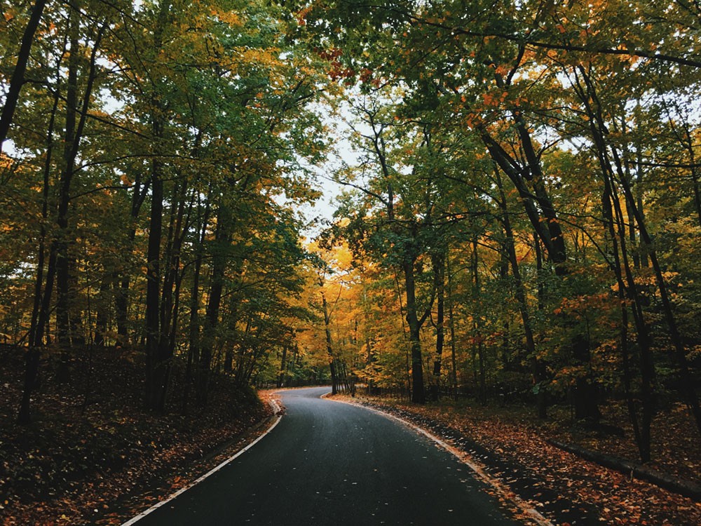 autumn-road--mobile