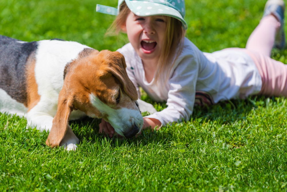 child dog bites lawyer orange county ca