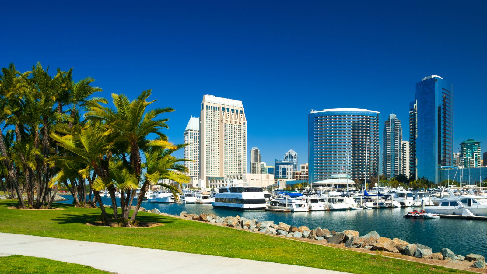 san diego feature